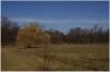 stromovka-110324_021