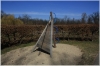 stromovka-110324_023