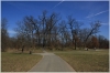 stromovka-110324_027