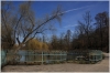 stromovka-110324_029
