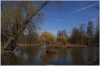 stromovka-110324_030