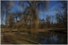 stromovka-110324_033