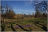 stromovka-110324_035