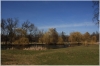 stromovka-110324_036