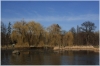 stromovka-110324_039