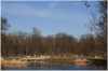 stromovka-110324_040