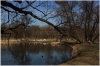stromovka-110324_041
