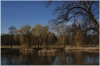 stromovka-110324_043