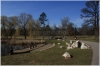 stromovka-110324_044