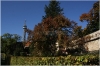 Petřín - Růžový sad