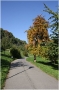 Petřín - Seminářská zahrada