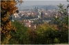 Petřín - Seminářská zahrada