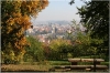 Petřín - Seminářská zahrada