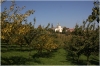 Petřín - Seminářská zahrada