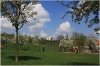 Petřín - Seminářská zahrada