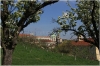 Petřín - Seminářská zahrada