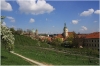 Petřín - Seminářská zahrada