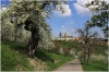 Petřín - Seminářská zahrada