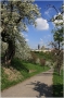 Petřín - Seminářská zahrada