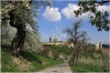 Petřín - Seminářská zahrada