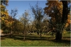Petřín - zahrada Kinských