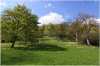 Petřín - zahrada Kinských