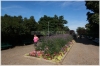 Praha 2 - Riegrovy sady