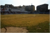Stadion Viktoria Žižkov