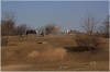 Park Parukářka a vrch sv. Kříže