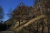 Divoká Šárka - skály