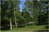 Královská obora - Stromovka 