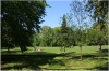 Královská obora - Stromovka