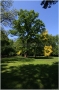pha7-stromovka110506_010