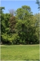 pha7-stromovka110506_019