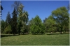 Královská obora - Stromovka