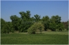 pha7-stromovka110506_043