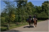 pha7-stromovka110506_044