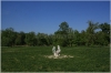 pha7-stromovka110506_045