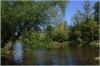 Královská obora - Stromovka - jezírko
