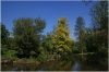 pha7-stromovka110506_054
