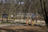 stromovka-110324_002