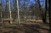 stromovka-110324_003