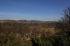 stromovka-110324_006