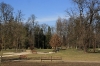 stromovka-110324_017