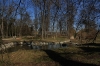 Královská obora - Stromovka