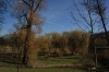 stromovka-110324_020