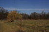 stromovka-110324_021