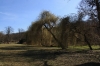 Královská obora - Stromovka
