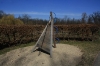 stromovka-110324_023