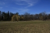 stromovka-110324_026